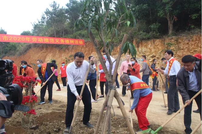 植樹造林，這群楷模這樣做