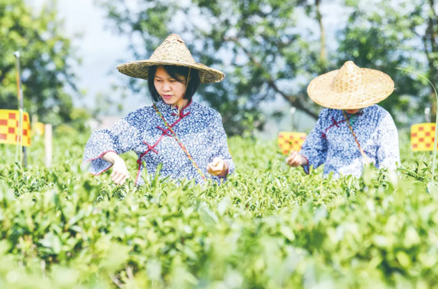 國(guó)家批復(fù)同意，梧州籌建！