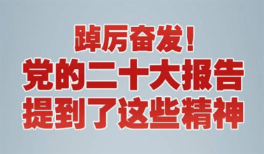 【黨的二十大】踔厲奮發(fā)！黨的二十大報(bào)告提到了這些精神