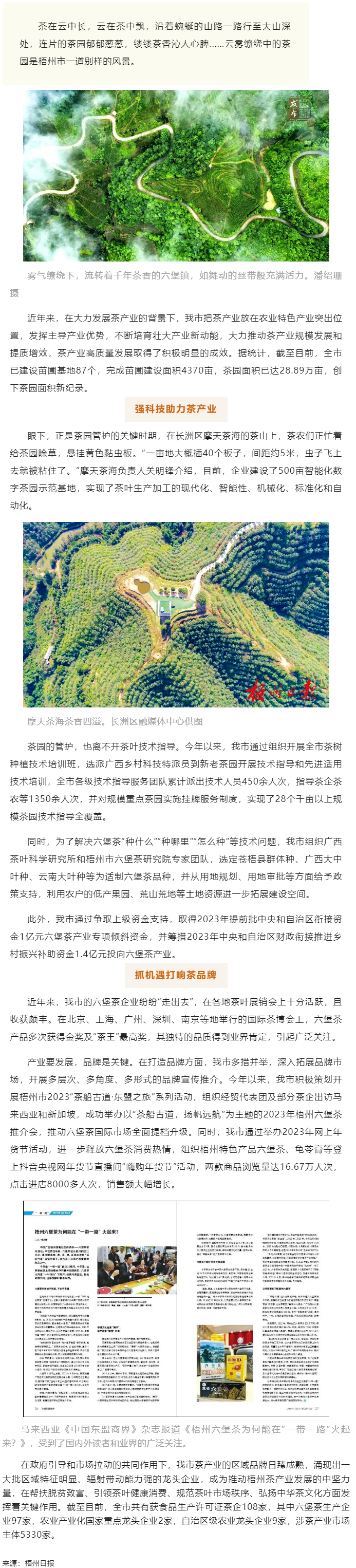 品牌強(qiáng)茶驅(qū)動特色產(chǎn)業(yè)提質(zhì)增效丨梧州市加快推動茶產(chǎn)業(yè)高質(zhì)量發(fā)展.png
