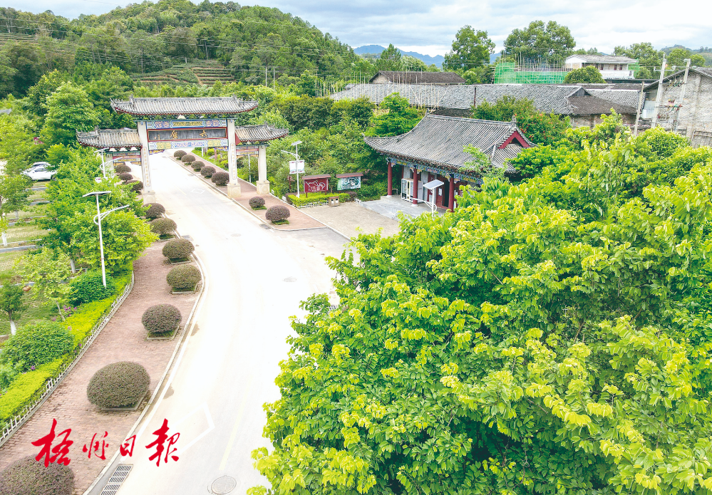 梧州全市生態(tài)茶園面積達(dá)33.34萬畝！