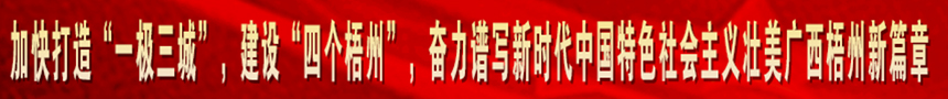 加快打造“一級(jí)三城市”，建設(shè)“四個(gè)梧州”，奮力譜寫(xiě)新時(shí)代中國(guó)特色社會(huì)主義壯美廣西梧州新篇章